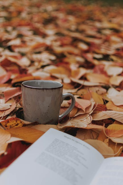 The Transformative Power of Book Reviews: Navigating the Literary Landscape