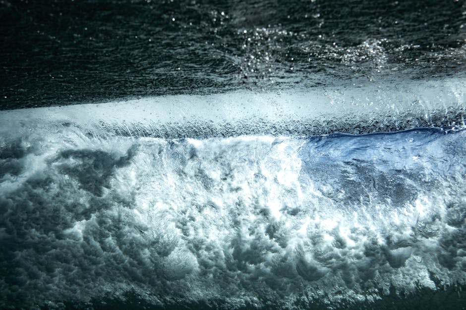 The Power of Book Reviews: A Deep Dive into Their Impact and Purpose