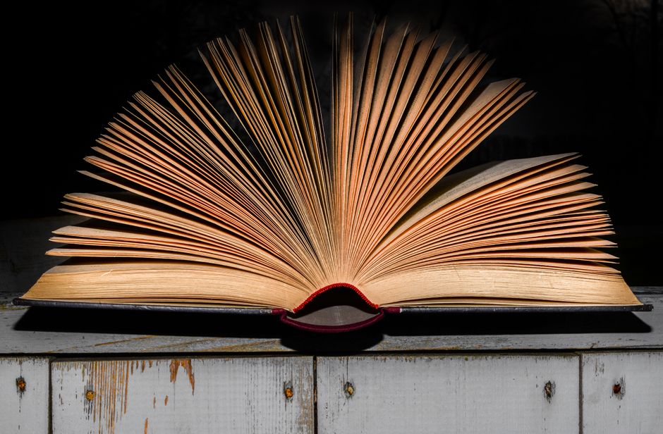 The Bookstagram Effect: How Social Media Rewrote Publishing Rules