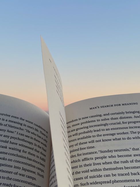 Man's Search for Meaning Review: Frankl's Lessons on Life & Hope