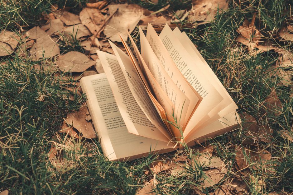 The Rise of BookTubers: How YouTube Changed Literary Criticism