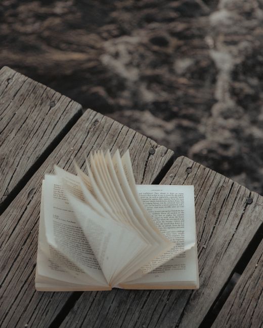 Bookstagram: Charting the New Seas of Literary Community