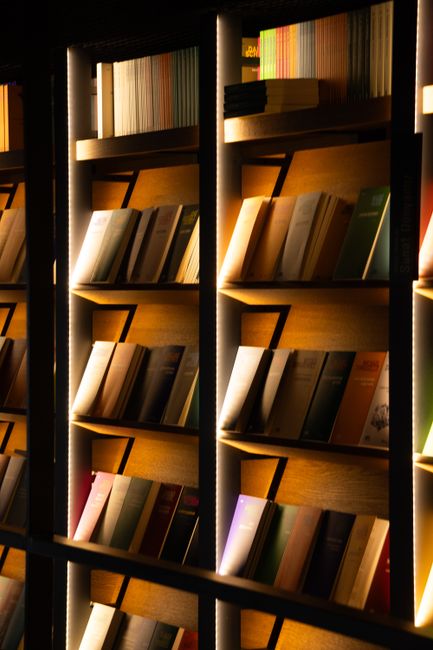 Bookstagram: The Digital Shelf That Changed How We Read