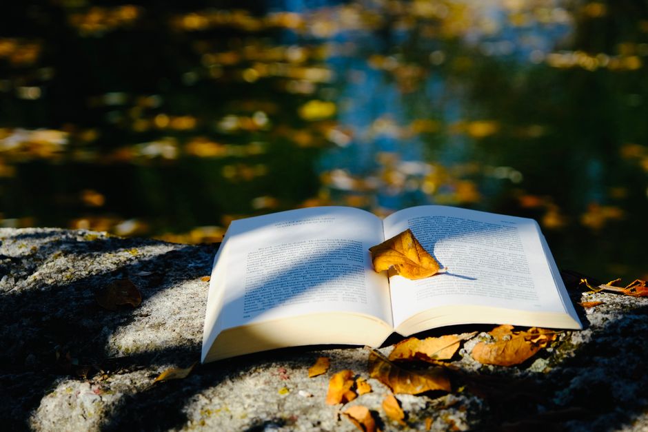 The BookTuber Effect: How YouTube Changed Reading Forever