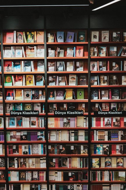 The BookTok Effect: How an Algorithm Rewrote the Publishing World