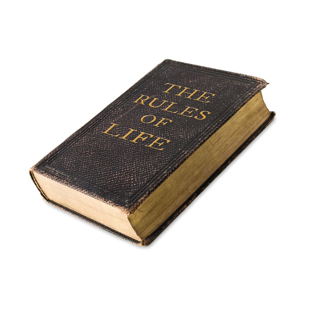 How Bookstagram Rewrote the Rules of Publishing