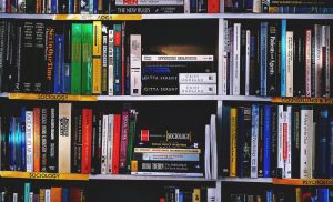 The Psychology of Bookstagram: Identity, Community & the Digital Shelf