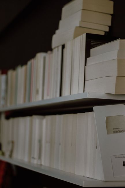 Bookstagram: How the Digital Shelf Reshaped the Publishing World
