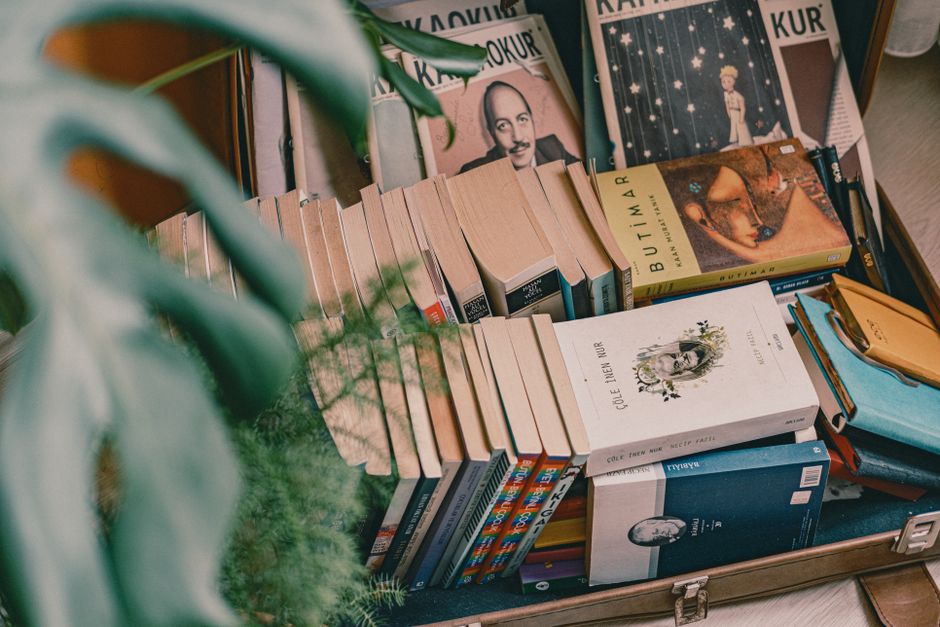 Bookstagram: The New Curators of the Literary Canon