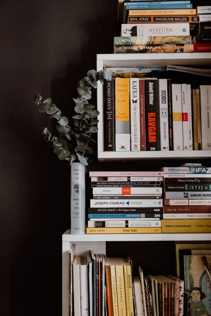 Bookstagram: From Shelfies to Social Force, An Analysis