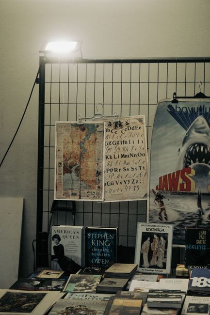 Charting BookTok: The New Literary Ocean & Its Impact