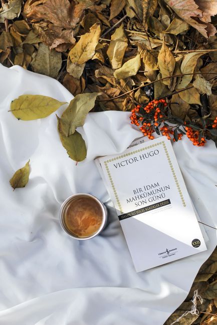 The Seven Husbands of Evelyn Hugo: A Book Review & Summary