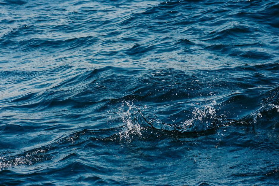 BookTok's Tidal Wave: Charting the New Current in Publishing