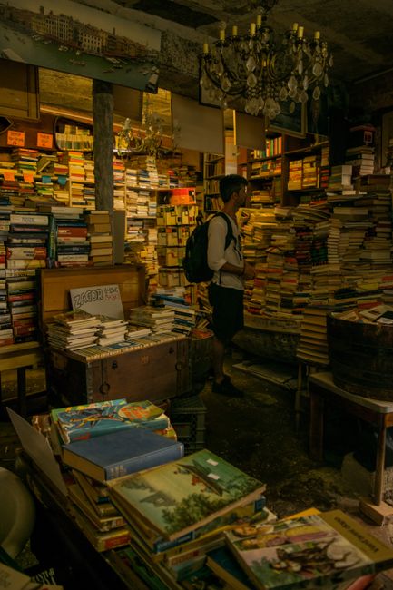 The Emotional Algorithm: Decoding BookTok's Grip on Modern Reading