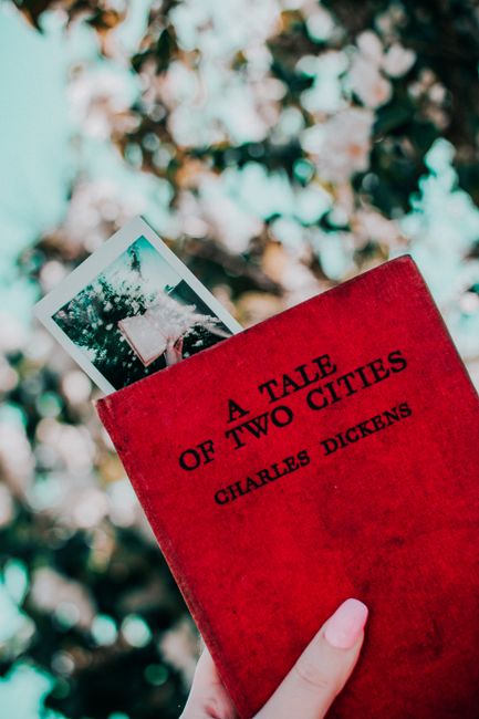The Bookstagram Effect: Curation, Community & Commercialism