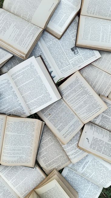 Bookstagram: The New Curators of the Literary Canon