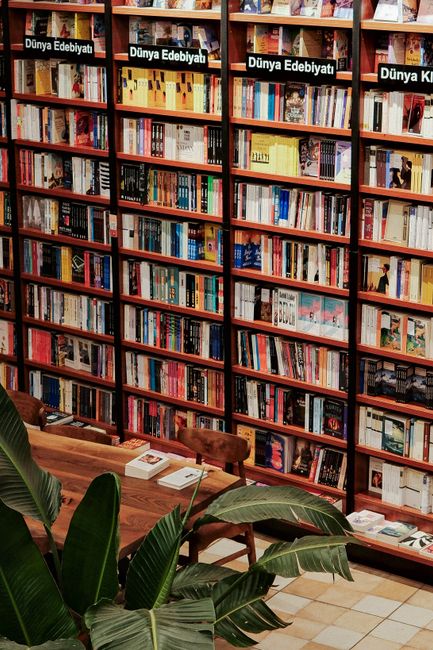 BookTok's Emotional Engine: How It Reshaped the Publishing World