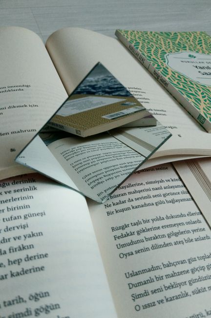 The Bookstagram Effect: How Instagram Reshaped Literary Criticism