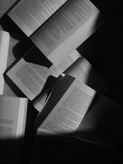 The Shadow Library: Burnout & Authenticity on Bookstagram